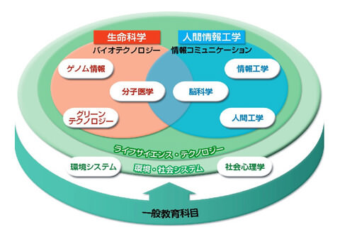 学べること